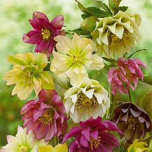 Charger l&#39;image dans la galerie, Fleurs - diamant rond complet - 30x30cm
