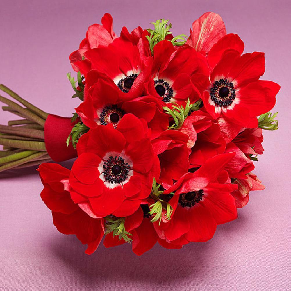 Fleurs - diamant rond complet - 30x30cm