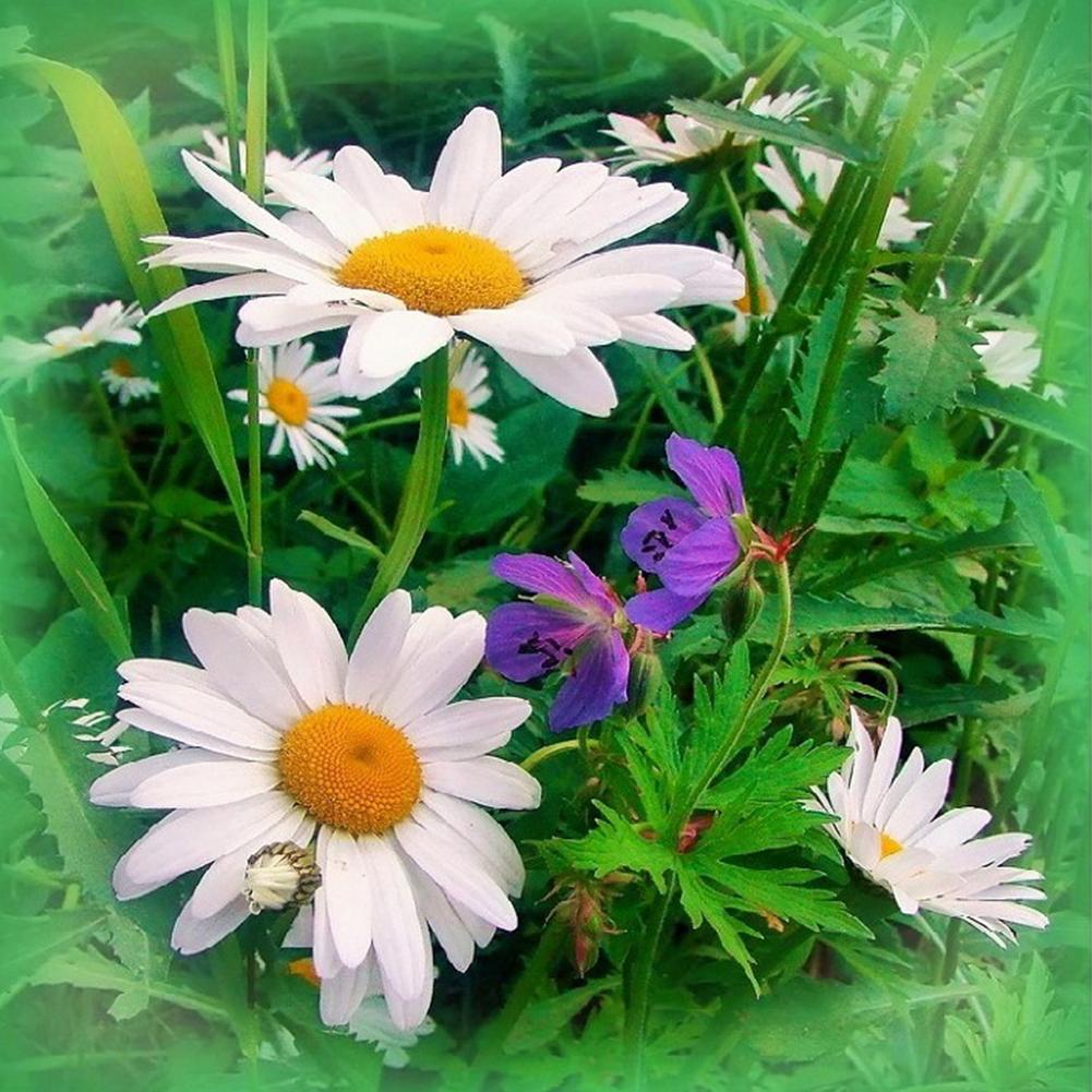 Fleurs - diamant rond complet - 30x30cm