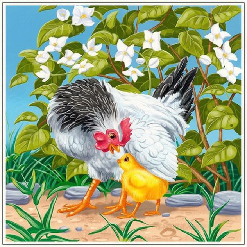 Poulet - diamant rond complet - 30x30cm