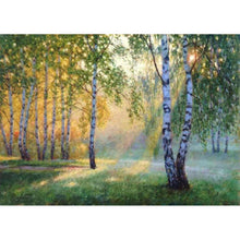Charger l&#39;image dans la galerie, Paysage rural - diamant rond complet - 40x30cm
