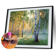 Charger l&#39;image dans la galerie, Paysage rural - diamant rond complet - 40x30cm
