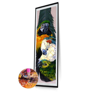 Parrot - diamant rond complet - 25x115cm