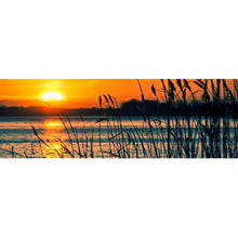 Charger l&#39;image dans la galerie, Marais de roseaux de coucher du soleil de 100x40cm - diamant rond complet - 100x40cm
