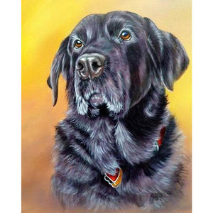 Chien assis - diamant rond complet - 30x40cm