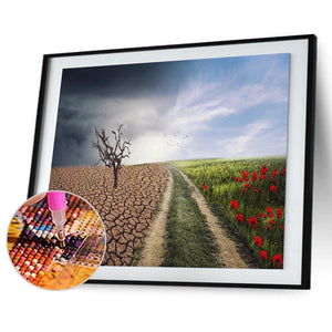 Champ sec - diamant rond complet - 40x30cm