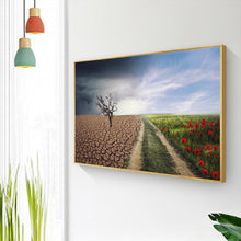 Charger l&#39;image dans la galerie, Champ sec - diamant rond complet - 40x30cm

