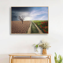 Charger l&#39;image dans la galerie, Champ sec - diamant rond complet - 40x30cm
