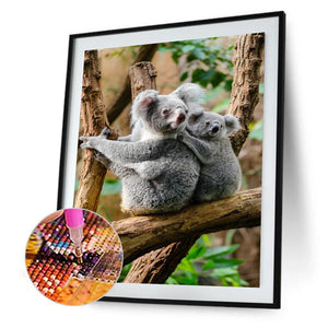 Koala - diamant rond complet - 30x40cm