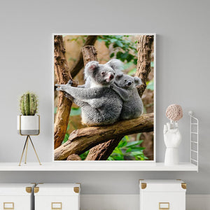 Koala - diamant rond complet - 30x40cm