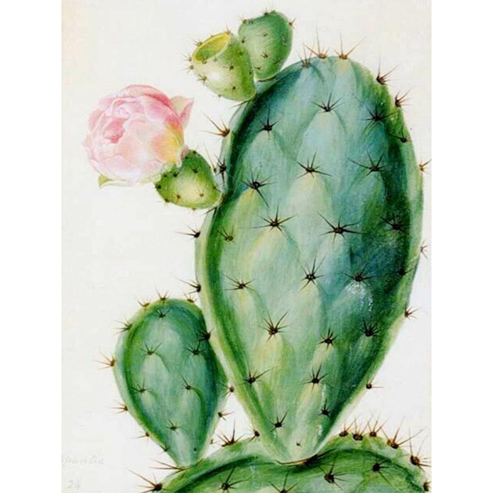 Cactus - diamant rond complet - 30x40cm