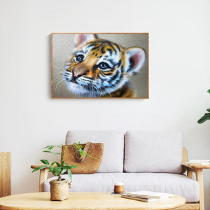 Tigre - diamant rond complet - 40x30cm