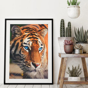 Tigre - diamant rond complet - 30x40cm
