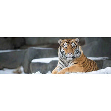 Charger l&#39;image dans la galerie, Enfant d’animal de tigre - diamant rond complet - 80x30cm
