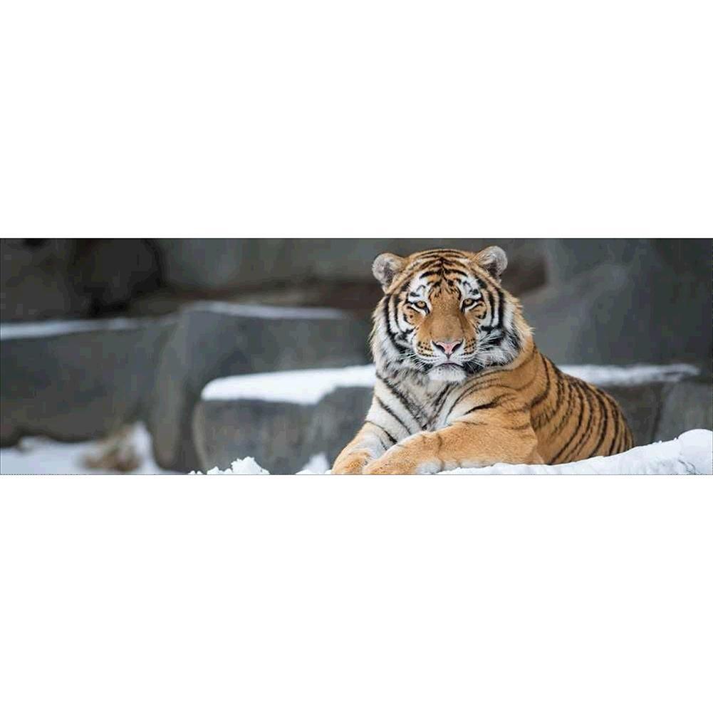 Enfant d’animal de tigre - diamant rond complet - 80x30cm