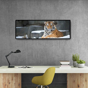 Enfant d’animal de tigre - diamant rond complet - 80x30cm