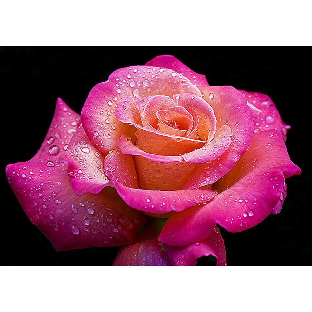 Fleur - diamant rond complet - 40x30cm