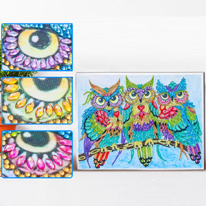 Hibou en forme de cristal spécial diamant peinture 40*30 cm