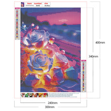 Charger l&#39;image dans la galerie, Cristal rose au bord de la mer-plein écran Diamond Painting-30x40cm
