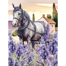 Charger l&#39;image dans la galerie, Lavande-complet Diamond Painting-30x40cm
