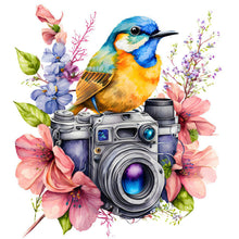 Charger l&#39;image dans la galerie, Camera Bird-Full Diamond Painting-30x30cm

