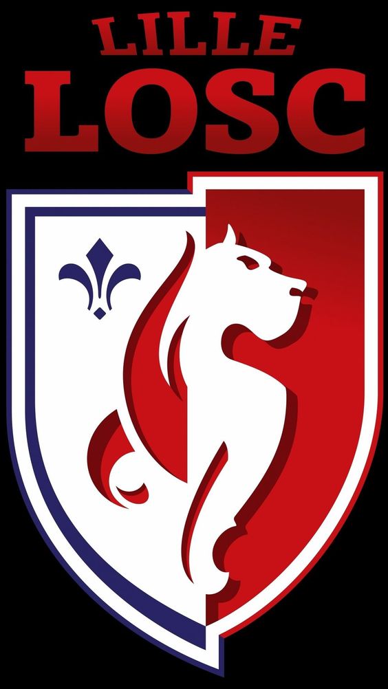 Football Lille Losc-Ronde/Carrée Diamond Painting