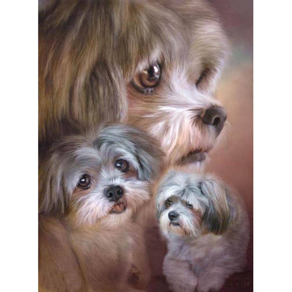 Chien - diamant rond complet - 40x30cm
